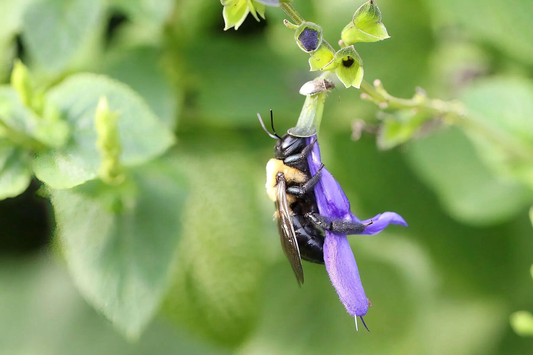 Can&#39;t Quite Reach