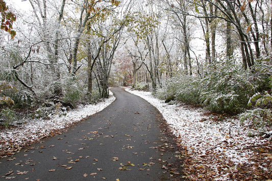 November Snowy Road